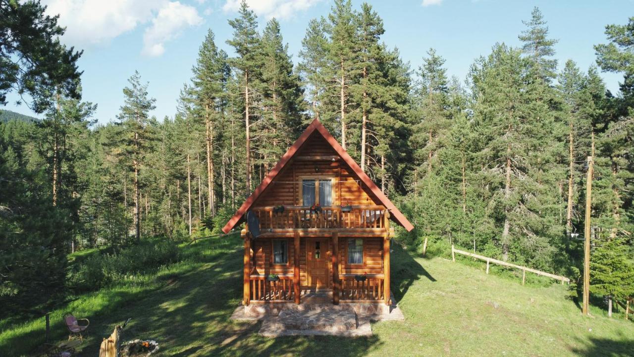 Holiday Home Aster Žabljak エクステリア 写真