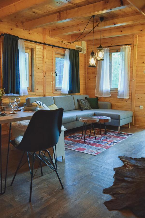 Holiday Home Aster Žabljak エクステリア 写真