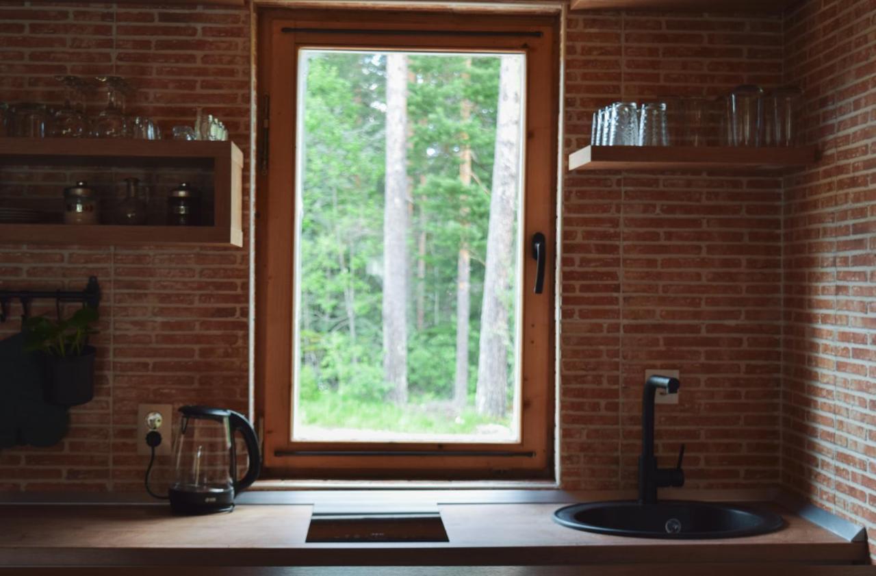 Holiday Home Aster Žabljak エクステリア 写真