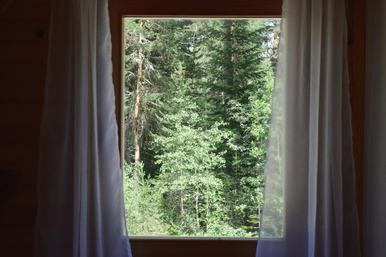 Holiday Home Aster Žabljak エクステリア 写真